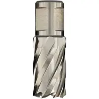 EUROBOOR HSS kernboor Ø 69 mm x 30 mm - HCS.690