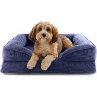 DS Produkte orthopedisch hondenbed van corduroy | ergonomische hondensofa 70x60 cm – voor kleine honden | antislipbodem | vulling en hoes wasbaar | hondenmand met traagschuim