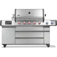 Napoleon Prestige pro 665 connected rvs