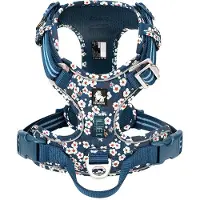 TrueLove - Hondentuigje - Hondenharnas - Blauw/Wit Bloemenpatroon - Reflecterend - Anti-Trek - Kleine Honden - Collectie 2025 - Blauw - S