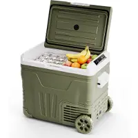 Auronic Elektrische Koelbox - Compressor - 50L - 12V en 240 volt - Camping Koelkast - Frigobox Auto - Met Wielen en Hendel - Groen