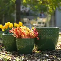 HAUSS SPOLE Bloempot – Met Afwateringsgat – Keramiek – Antiek Lichtgroen – Voor Binnen En Buiten – Weerbestendig