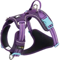 TrueLove - Hondentuigje - Hondenharnas - Anti Trek Tuigje - Reflecterend Harnas - 56-69cm - Medium - Paars