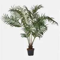 Loberon Decoratieve palmplant Mersina