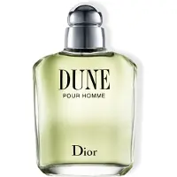 Dior Dune Pour Homme Eau de Toilette 100 ml