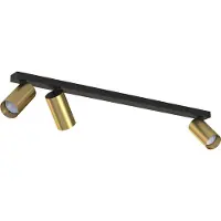 Lyora Gouden 3-lichts opbouwspot Mono