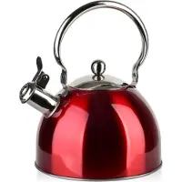 Mondex - ALLESKEN - LIAM RODE fluitketel 2.5L - RVS