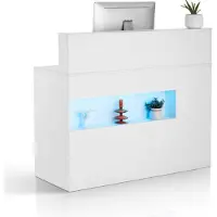 Vevor Receptiebalie