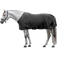 Waldhausen Economic Regendeken Voor Paarden Zwart 155 cm