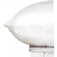 Silk Heaven Zijden Kussensloop Cloud White - 22MM - - 60x60cm / Ritssluiting