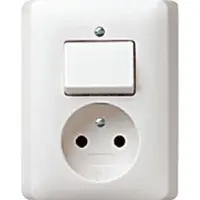 Gira Combinatiestopcontactschakelaar Systeem 55 Zuiver Wit - 047603