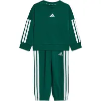 Adidas Trainingspak 'Essentials' smaragd / wit