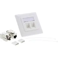 InLine Cat.6A encastré 2x RJ45 blanc RAL9010