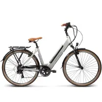 Villette l' Amant Eco Bg elektrische damesfiets female