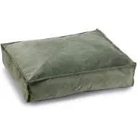 Designed By Lotte Ligkussen Nalino Hond Groen 70 x 55 x 15