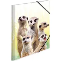 Herma A3 meerkat verzamelmappenset, 3-delig, kinderhoekmappen van kunststof met dierenmotief, elastische band, binnenkleppen en binnenprint voor jongens en meisjes