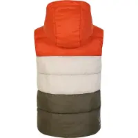 Regatta Kinder/Kinder Jolly Gewatteerd Gilet (Rooibosthee/Lichtgroen)