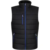 Regatta Thermische bodywarmer Navigate voor heren (Zwart/Nieuw Royal)
