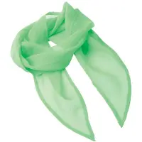 Premier Dames/Dames Chiffon Sjaal (Apple)
