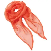 Premier Dames chiffon sjaal