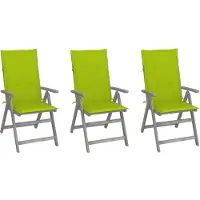 The Living Store Verstelbare Acaciahouten Tuinstoelen - 56 x 70 x 110 cm - Greywash - Inclusief kussens