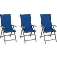 The Living Store Verstelbare Stoelenset met Kussens - Acaciahout - Greywash - 56x70x110 cm - Verstelbaar in 5 standen