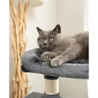 Markenlos Kattenboom met 2 holtes en een comfortabel ligvlak - hoogte 80 cm - kattenboom met pluchen bal - inclusief belletje - sisal en pluche - donkergrijs