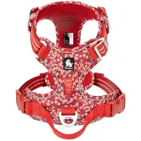 TrueLove - Hondentuigje - Hondenharnas - Rood Bloemenpatroon - Reflecterend - Anti-Trek - Kleine Honden - Collectie 2025 - Rood - XS