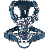 TrueLove - Hondentuigje - Hondenharnas - Blauw/Wit Bloemenpatroon - Reflecterend - Anti-Trek - Kleine Honden - Collectie 2025 - Blauw - XS