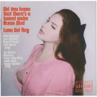 Universal Music Lana Del Rey - Did You Know That There's A Tunnel Under Ocean Blv (CD) (Alternative Artwork #3 | Limited Edition)