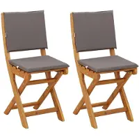 vidaXL Bistrostoelen voor buiten 2 st Donkergrijs Massief Acacia Hout