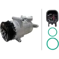 Hella 8FK 366 202-121 Aircopomp