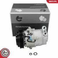 ESEN SKV 84SKV164 Aircopomp
