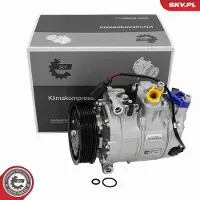 ESEN SKV 84SKV121 Aircopomp