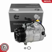 ESEN SKV 84SKV137 Aircopomp