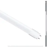 Paulmann LED-buis-Buis Energielabel: F (A - G) G13 22 W Daglichtwit 1 stuk(s) (Ø) 28 mm Conventioneel voorschakelapparaat