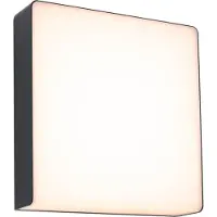 Paulmann Buitenverlichting , Azalena, Zwart, Aluminium