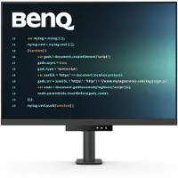 BenQ RD280UA 28 inch