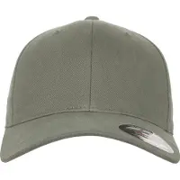Flexfit Pet pastelgroen