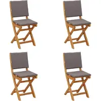 vidaXL Bistrostoelen voor buiten 4 pcs Donkergrijs Massief Acacia Hout