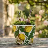 Sommerfield Bloempot citroen aardewerk geel Ø13cm x H 12cm - Landelijke pot voor bloemen keramiek