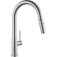 CECIPA MAX Keukenkraan met Uitrekbare Uitloop - Vaas-Parapluvorm - Gebürstet - 2 Straalstanden - 40% Waterbesparing - 304 RVS