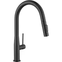 CECIPA MAX Keukenkraan met Uitrekbare Uitloop - Vaas-Parapluvorm - Zwart - 2 Straalstanden - 40% Waterbesparing - 304 RVS