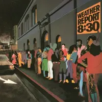 MUSIC ON VINYL 8.30 (LP)