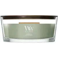 Woodwick Verdant Fig Ellipse Geurkaars