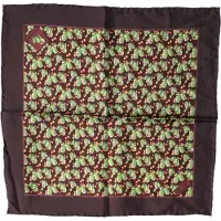 Dolce&Gabbana Bruin Cactusprint Vierkante Zakdoek Sjaal