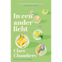 De Fontein In een ander licht (Paperback)