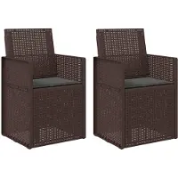 vidaXL Tuinstoelen 2 st Bruin en antracietkleurig PP