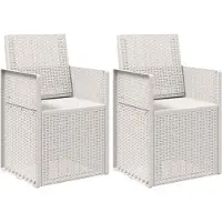 vidaXL Tuinstoelen 2 st Wit PP