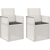 vidaXL Tuin-eetkamerstoelen, 2 stuks, wit en antraciet, van PP-materiaal